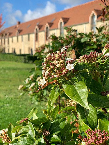 Domaine de Crécy