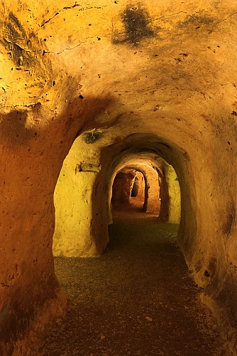 The Underground Galleries of Provins