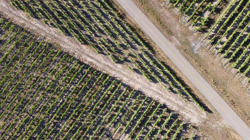 DOMAINE DU MATIN CALME