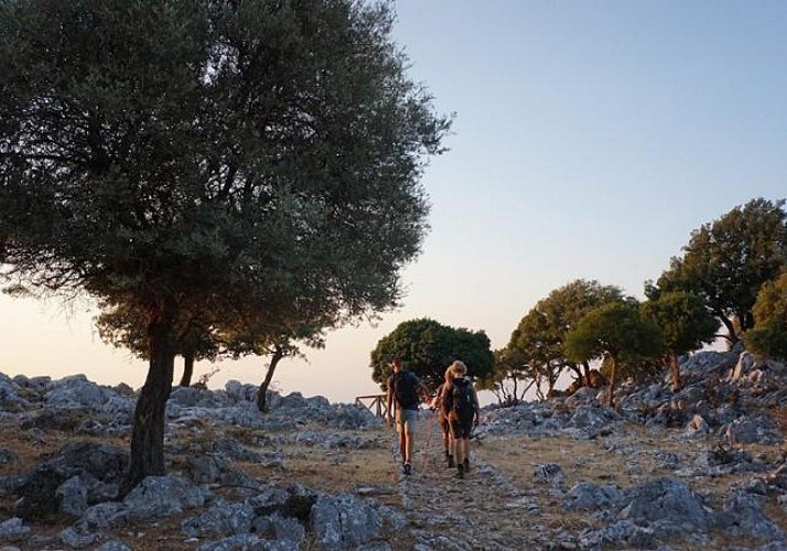 Randonnée guidée au coucher du soleil sur le Mont Profitis Ilias - Rhodes