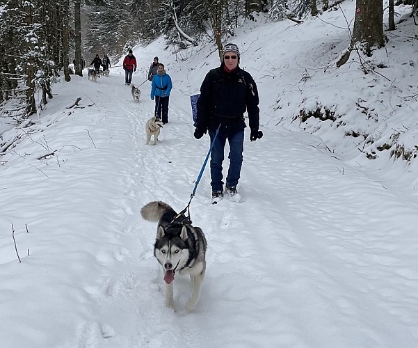 Cani-rando - Energie Canine