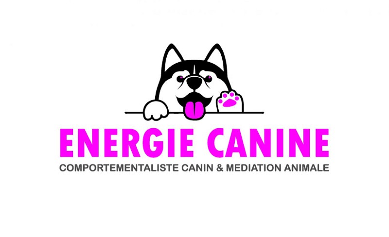 Cani-rando - Énergie Canine