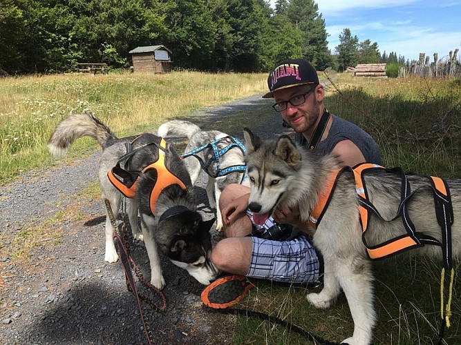 Cani-rando - Énergie Canine