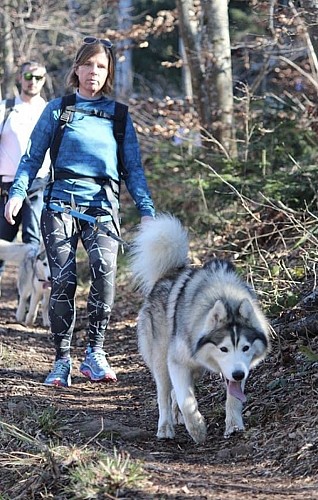 Cani-rando - Énergie Canine