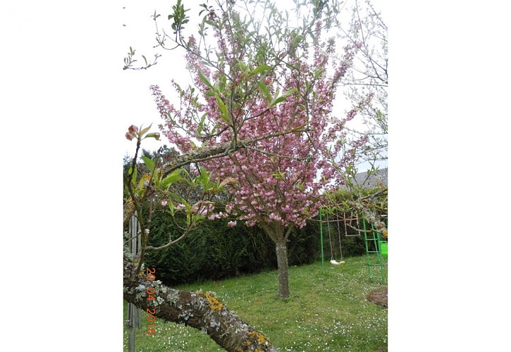 Le Clos des Ageasses_10