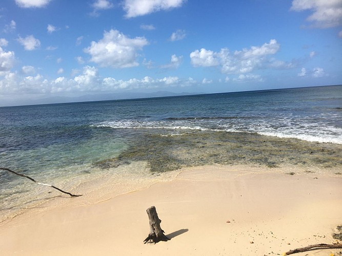 Point de vue sur le Grand Cul de Sac Marin