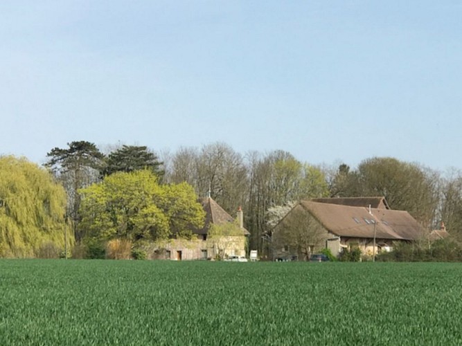 Au coeur de la nature
