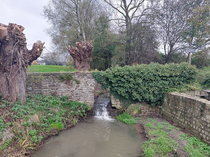 Dejardin_S_LaGoffe_12.11.24 (4)