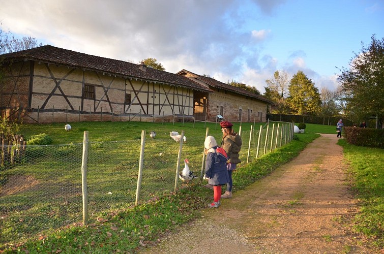 Bresse Museum and Domaine des Planons Farm