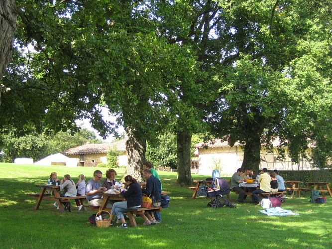 Bresse Museum and Domaine des Planons Farm