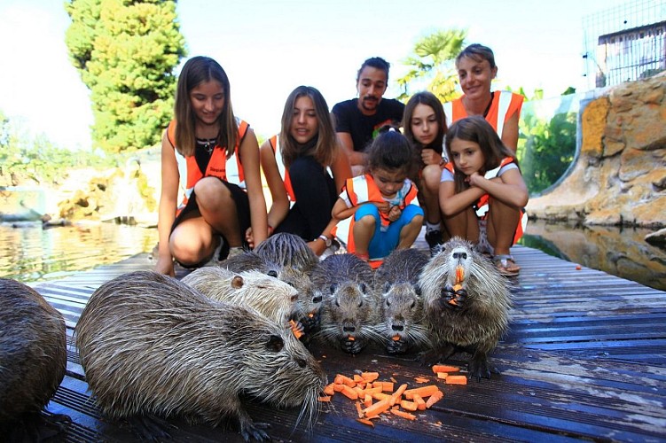 Aquarium-du-Perigord-Noir 6