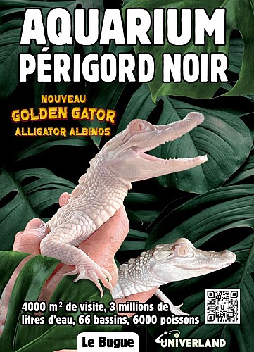 Alligators albinos