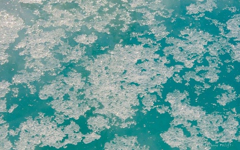 Pôle Muséographique des salines de Salies-de-Béarn