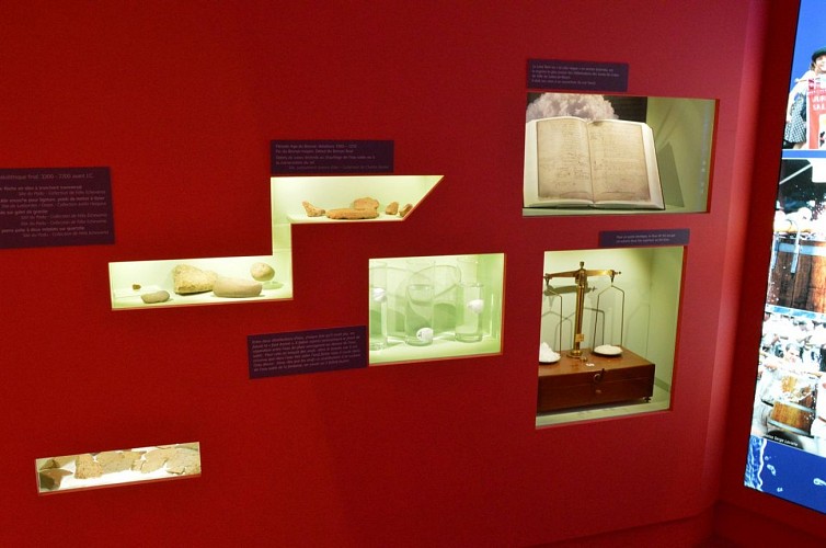 Pôle Muséographique des salines de Salies-de-Béarn