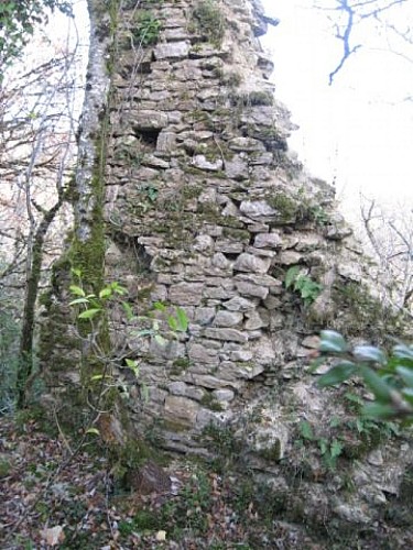 Maison forte de Lomont