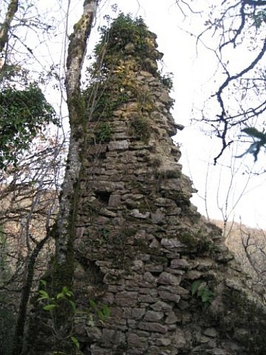 Maison forte de Lomont