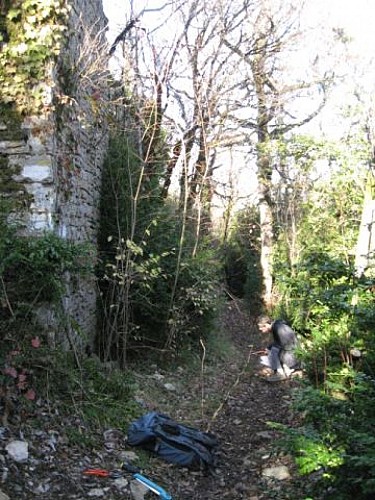 Maison forte de Lomont