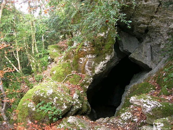 Grotte à l'ours