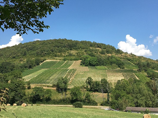 Domaine de la Dentelle