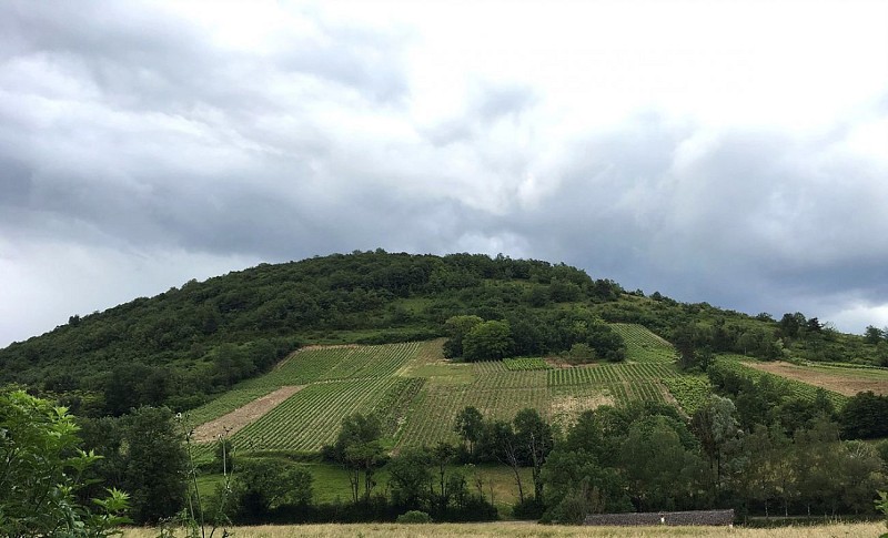 Domaine de la Dentelle