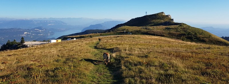 La Pause du Grand Colombier
