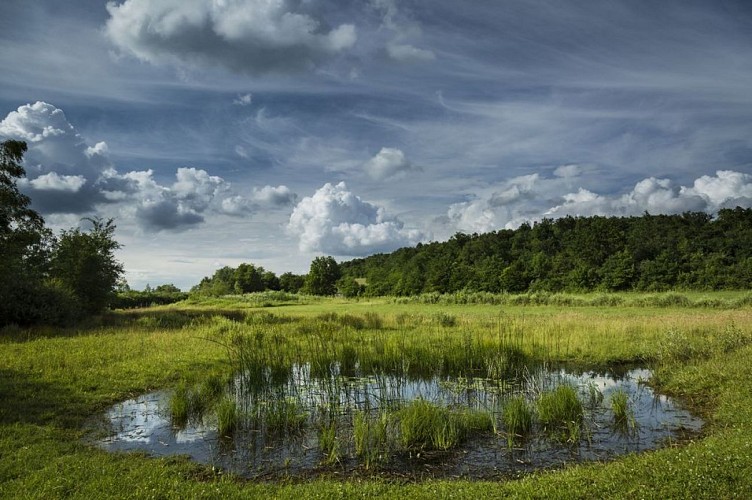 Etang de Lemps sensitive natural area