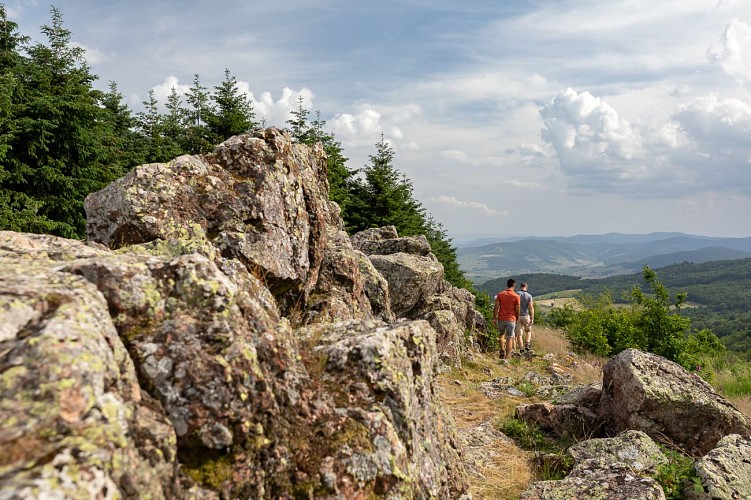 Terrasse de Chiroubles