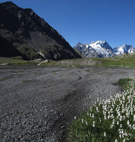 Natura 2000 - Haute Romanche