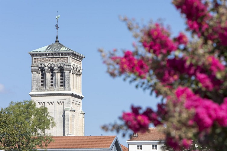 La Cathédrale Saint-Apollinaire
