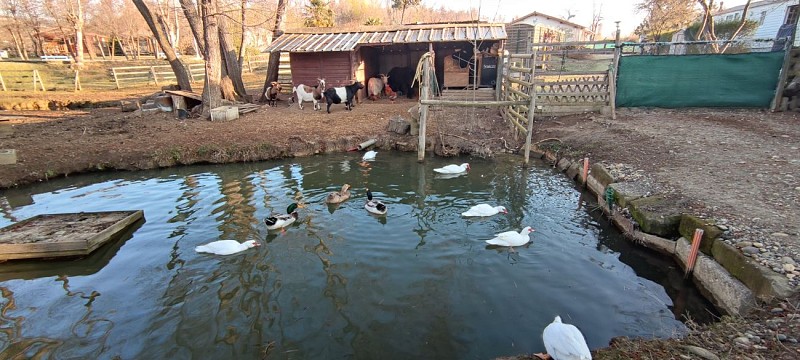 Camping Chante-Merle