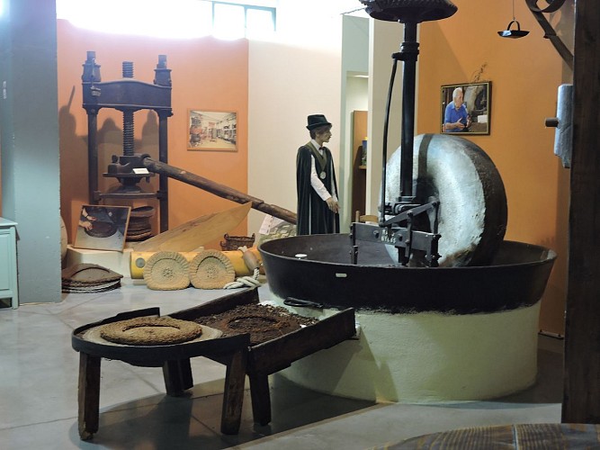Musée de l'Olivier - Vignolis exhibition area