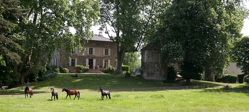 Domaine La bonne Etoile