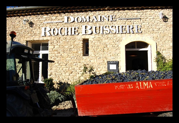 Domaine La Roche Buissière