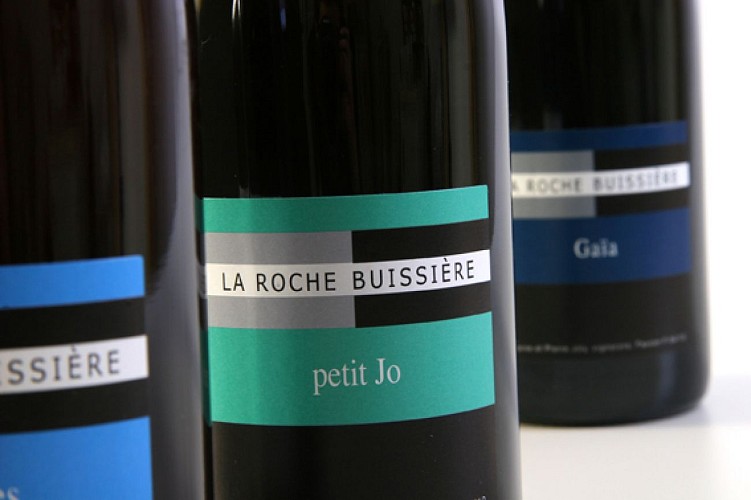 Domaine La Roche Buissière