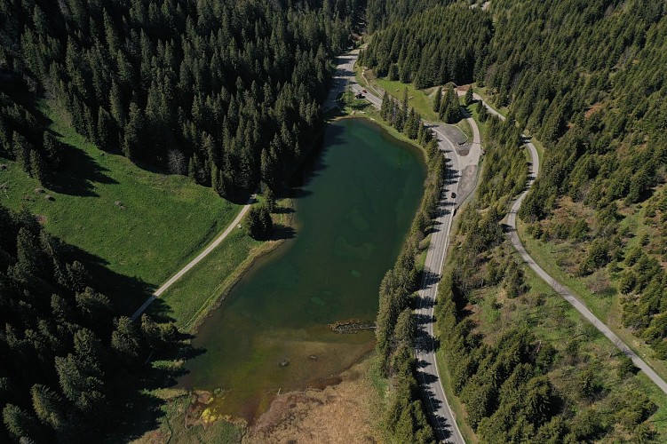 Morgins lake