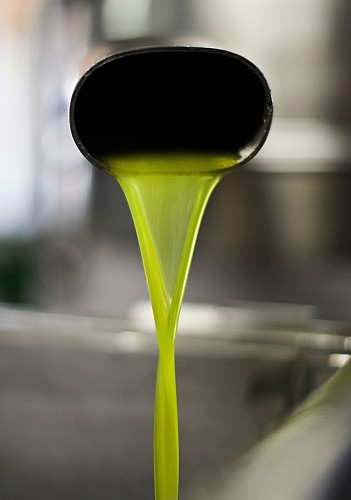 Chameil Olive Oil Milll