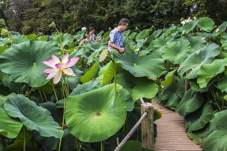 Jardín de los Martels