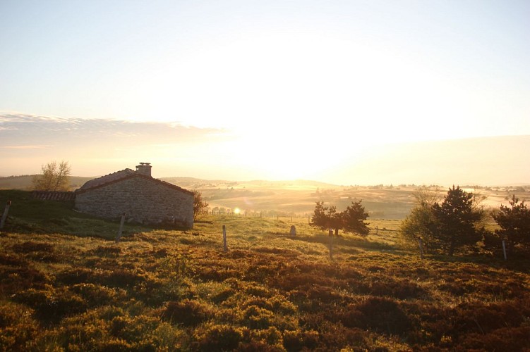 Réserve Naturelle Régionale des Jasseries de Colleigne