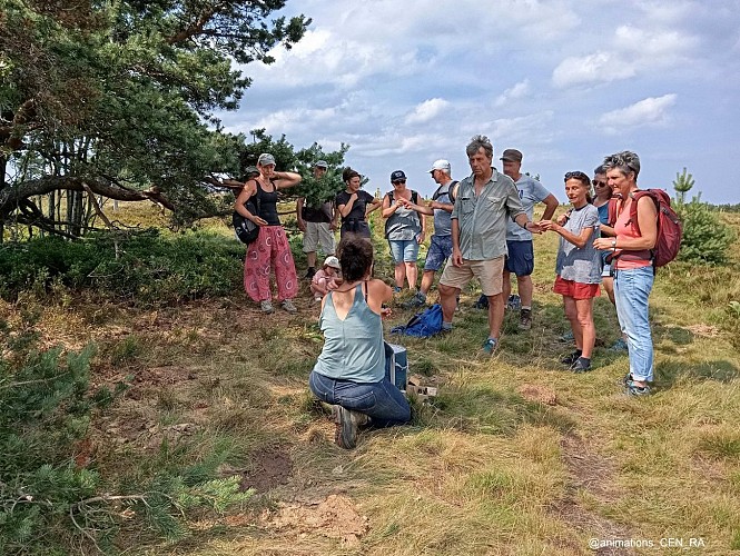 Réserve Naturelle Régionale des Jasseries de Colleigne