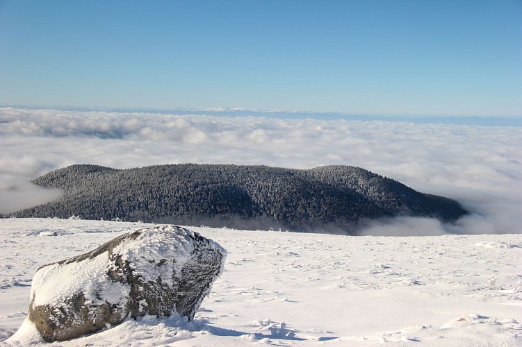 Réserve Naturelle Régionale des Jasseries de Colleigne