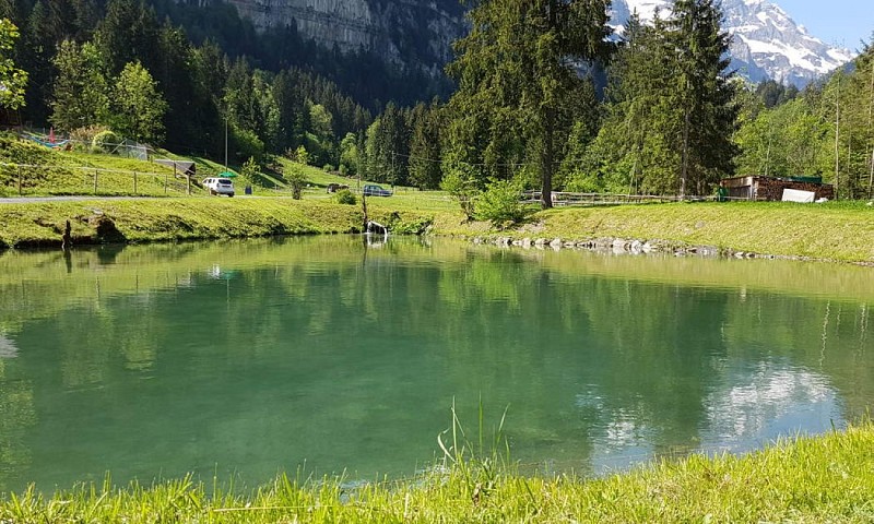 Forellenfischen am Chalet Rosalie