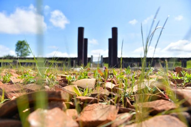 Site archéologique de l'oppidum de Corent