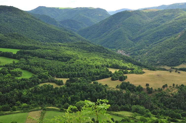 Pailhats de Courgoul : terrasses cultivées