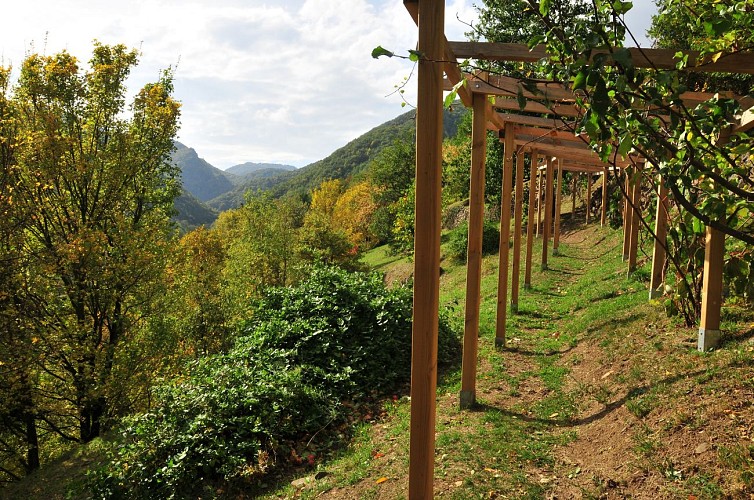 Pailhats de Courgoul : terrasses cultivées