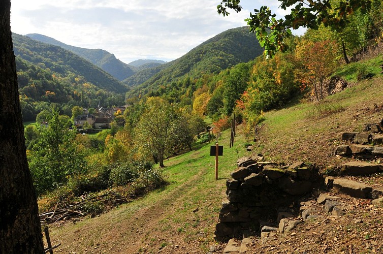 Pailhats de Courgoul : terrasses cultivées