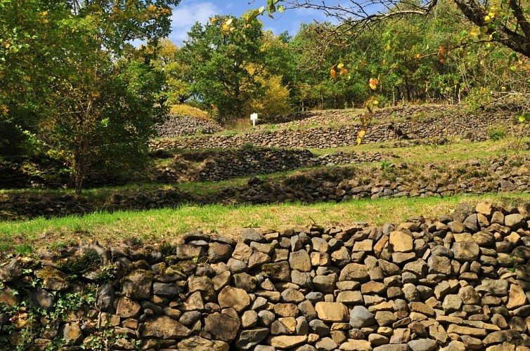 Pailhats de Courgoul : terrasses cultivées