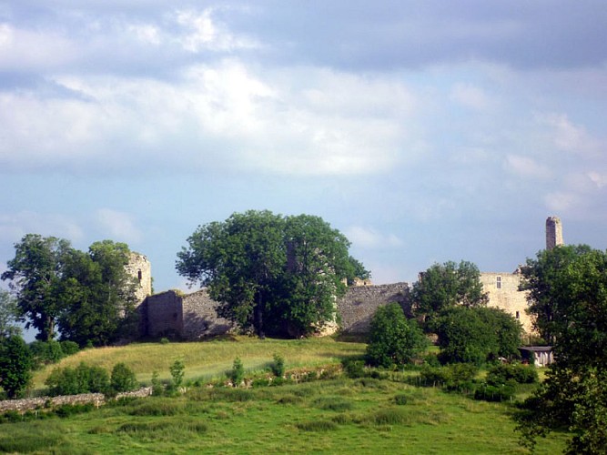 Château de Viverols