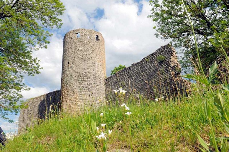 Château de Viverols