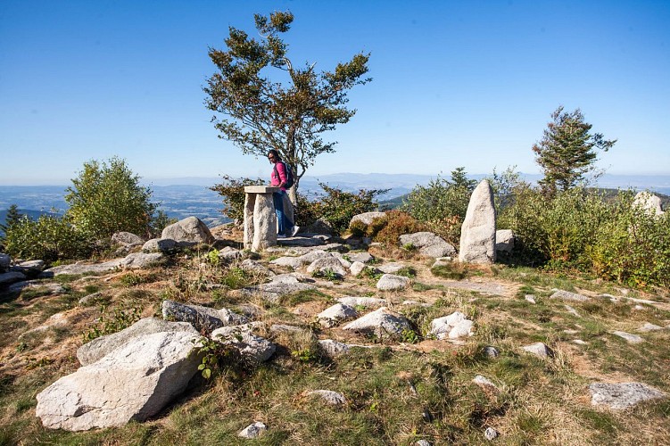 Site de Pierre Pamole