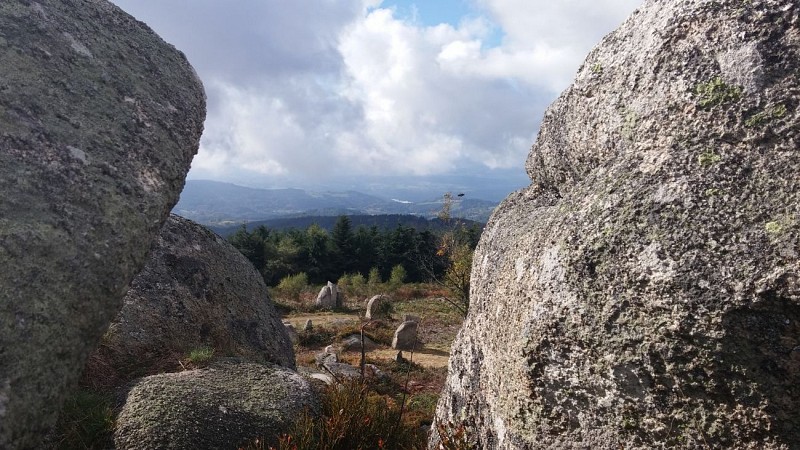 Site de Pierre Pamole